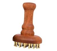 perfeclan Spazzola per il corpo in legno per massaggi compatta da 29 denti in ottone per adulti, regalo per la casa, strumento per i meridiani dei tessuti