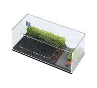 Perfeclan Vetrina espositiva per modellini di Auto in Scala 1/64, Ruote pressofuse, Mini sedie, Scena di parcheggio per Piccole Figure, Decorazione di modellini, Arbusto di Fiori Verdi