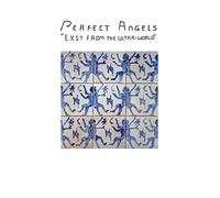 perfect angels-exit from the ultra world