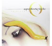 Perfect Circle - Perfect Circle - Thirteenth Step
