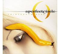 Perfect Circle - Thirteenth Step