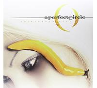 Perfect Circle - Thirteenth Step