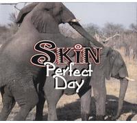 PERFECT DAY CD UK PARLOPHONE 1996