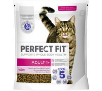 Sacchetto gatto adulto 1+ con salmone, 1 x 1,4 kg