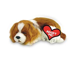 Perfect Petzzz 4905 - Peluche - Cane King Charles Cocker Spaniel