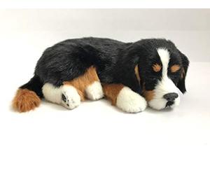 Perfect Petzzz Bernese Il Cucciolo Che Respira