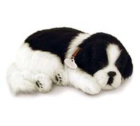 Perfect Petzzz Border Collie Il Cucciolo Che Respira The Original Breathing Pet New Huggable Soft Version Plush Toy Gift Bundle