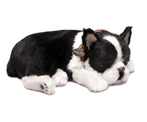 Perfect Petzzz Boston Terrier the Breathing Puppy