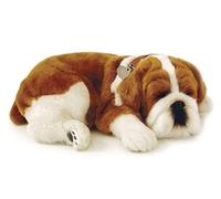 Perfect Petzzz Bulldog Il Cucciolo Che Respira The Breathing Puppy