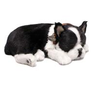Perfect Petzzz Cani e Gatti che Respirano 40 razze disponibili