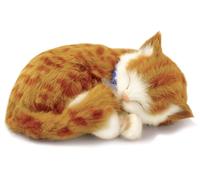 Perfect Petzzz Cani e Gatti che Respirano 40 razze disponibili