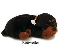 Perfect Petzzz Cani e Gatti che Respirano 40 razze disponibili