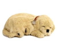 Perfect Petzzz Cani e Gatti che Respirano 40 razze disponibili