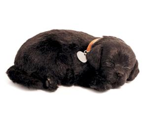 Perfect Petzzz Cani e Gatti che Respirano 40 razze disponibili