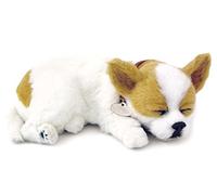 Perfect Petzzz Chihuahua White & Tan, il Cucciolo che Respira, The Original Breathing New Huggable Soft Version Plush Toy Gift Bundle