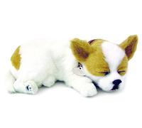 Perfect Petzzz Cucciolo di Chihuahua Tan & White Che Dorme e Respira