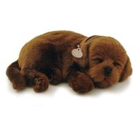 Perfect Petzzz Dogs and cats that breathe 30 breeds available