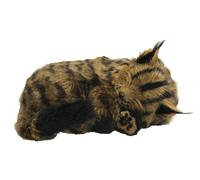 PERFECT PETZZZ - MAINE COON - Il cucciolo che respira - Breathing Puppy