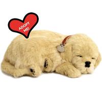 Perfect Petzzz Dogs and cats that breathe 30 breeds available