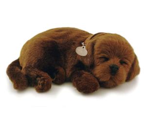 Perfect Petzzz Dogs and cats that breathe 30 breeds available