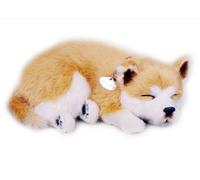 Perfect Petzzz Dogs and cats that breathe 30 breeds available