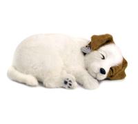 Perfect Petzzz Dogs and cats that breathe 40 breeds available