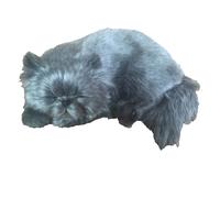 Perfect Petzzz Dogs and cats that breathe 40 breeds available