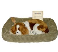 Perfect Petzzz Dogs and cats that breathe 40 breeds available