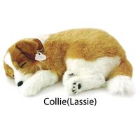 Perfect Petzzz Dogs and cats that breathe 40 breeds available