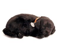 Perfect Petzzz Dogs and cats that breathe 40 breeds available