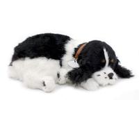 Perfect Petzzz Dogs and cats that breathe 40 breeds available