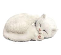White Shortair Tabby- Il cucciolo che respira - PERFECT PETZZZ