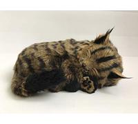 Perfect Petzzz Gatto Maine Coon il Cucciolo che Respira the Breathing Puppy