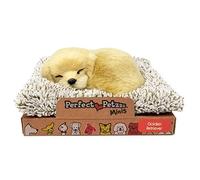 Perfect Petzzz Minis Golden Retriever con Verso cm.13