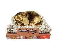 Perfect Petzzz Minis Mutt con Verso cm.13