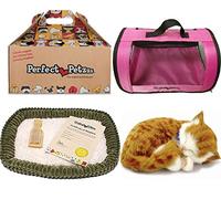 Perfect Petzzz Orange Tabby + Pink Tote Trasportino