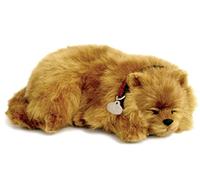 Perfect Petzzz Pomeranian The Breathing Puppy