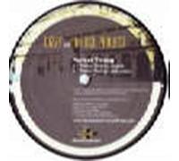 Perfect Timing - Dizzy And The Dcl Project 12"