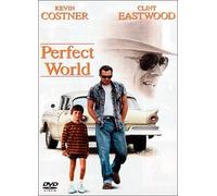 Perfect World