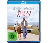 Perfect World