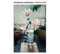 Vincenzo Latronico Perfection (Tascabile)