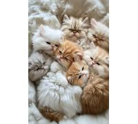 Perfectly Puffy Super Cute Kitty: Cute Kitty Journal with Lined and Doodle Pages (75 pages)