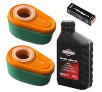 perfektGarten Candela di accensione + filtro + olio tosaerba compatibile con Briggs & Stratton B&S DOV 700 725 750 775