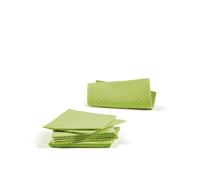 Perfetto Pannospugna aquos cm. 18x20 verde 10 pz PANNOSPUGNA AQUOS CM. 18X20 VERDE 10 PZ