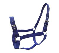 perfk Cavezza per Cavalli, Accessori equestri, Attrezzatura da addestramento Regolabile per esibizionisti e Campeggio, Blu