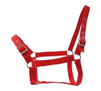 perfk Cavezza per Cavalli, Accessori equestri, Attrezzatura da addestramento Regolabile per esibizionisti e Campeggio, Rosso