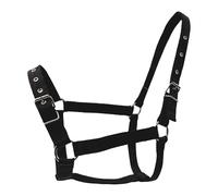 perfk Cavezza per Cavalli, Accessori equestri, Attrezzatura da addestramento Regolabile per esibizionisti e Campeggio, Nero