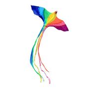 perfk Vivid Kite con Strumenti di Volo per Bambini Giochi All'aperto Viaggi, B