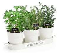 PERFNIQUE Giardino di erbe aromatiche da interno, fioriera da giardino per interni ed esterni, vasi per piante da fattoria, kit da giardino per davanzale con vassoio, vasi da finestra per piante da