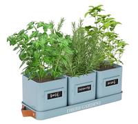 PERFNIQUE - Set di fioriere per erbe aromatiche da interno, con vassoio, vasi da interni per davanzale, con drenaggio (solo fioriera), per interni/esterni, vasi per finestre (azzurro cielo)